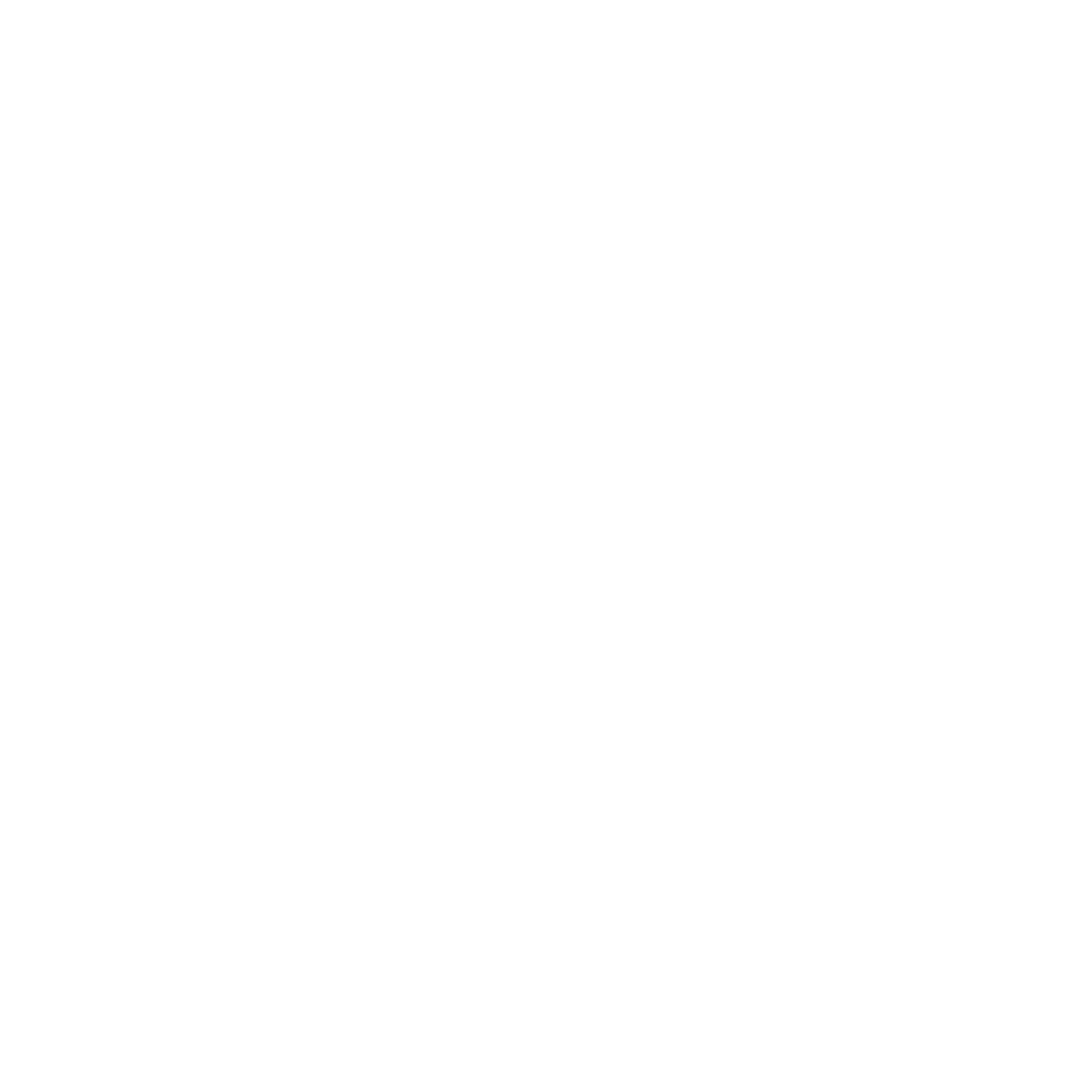 Bionic.Network Ltd